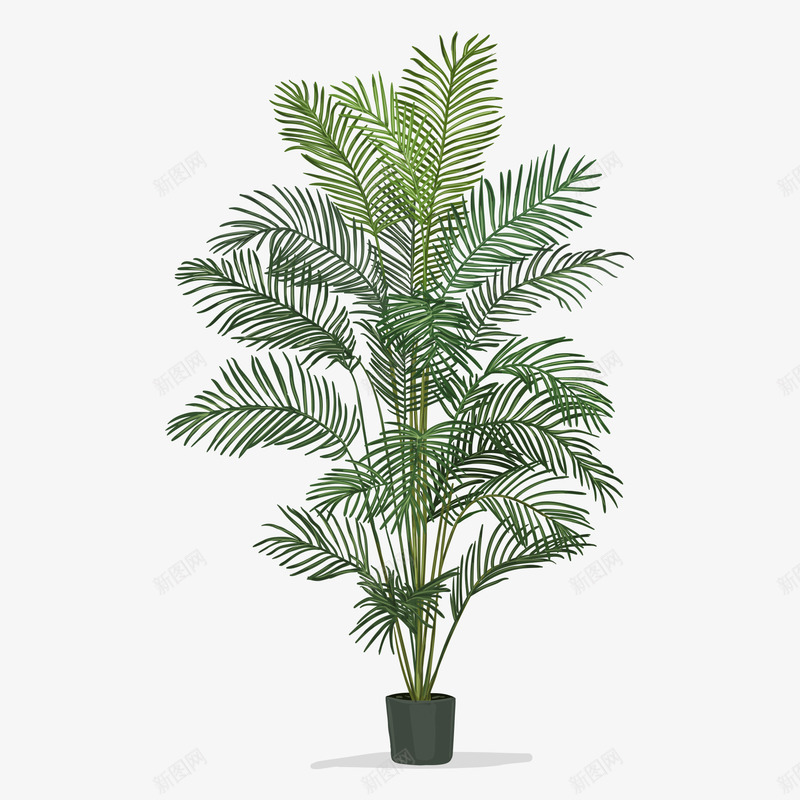 植物插画矢量图ai免抠素材_88icon https://88icon.com 富贵竹 盆栽 绿色 矢量图