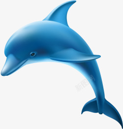 手绘立体海豚手绘海豚矢量图高清图片