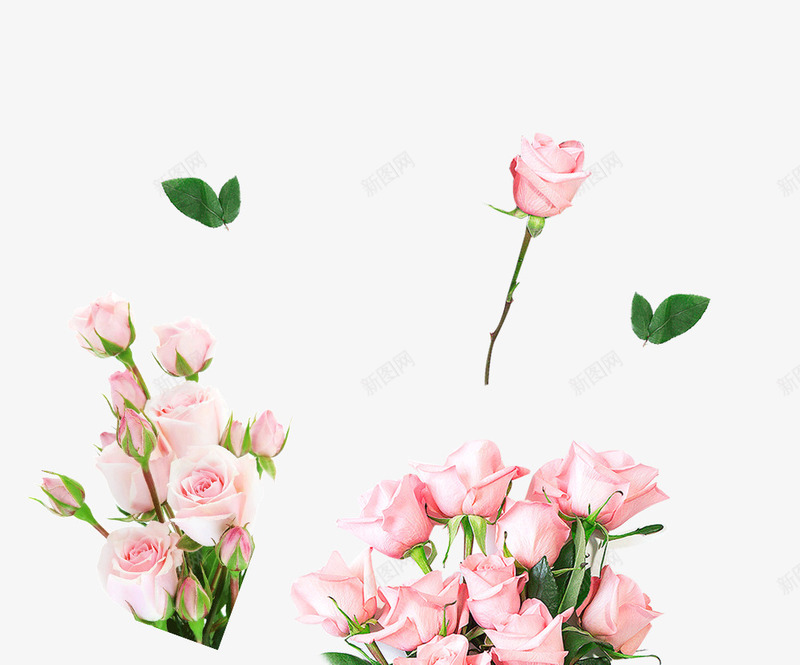 粉色玫瑰花束装饰图案png免抠素材_88icon https://88icon.com 免抠PNG 玫瑰花束 粉色 装饰图案 鲜花