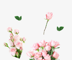 粉色玫瑰花束装饰图案素材