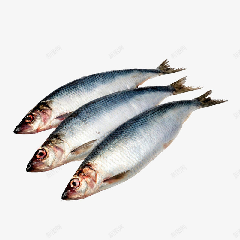 三条整齐排列鲱鱼png免抠素材_88icon https://88icon.com 三条整齐排列鲱鱼 产品实物 水产 海鲜 餐饮美食 鱼类 鲱鱼