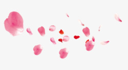 精致梦幻粉红色的花瓣素材