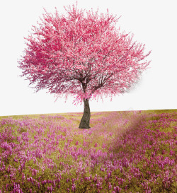 鲜花篱笆大树矢量桃花树高清图片