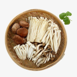 食用蘑菇菌类套餐3高清图片