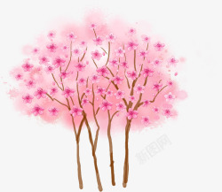 春季粉色大树风景素材