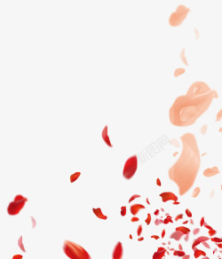 飘落的花瓣素材