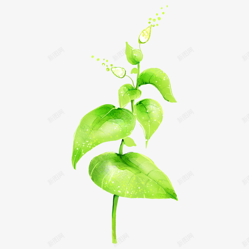 绿色植物png免抠素材_88icon https://88icon.com 手绘 绘画 绿色植物 花花草草