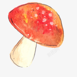 水彩手绘蘑菇植物矢量图素材