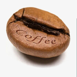 咖啡豆子素材