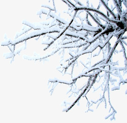 冰雪美景郊外树木素材