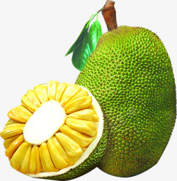 菠萝蜜新鲜菠萝蜜水果热带水果高清图片