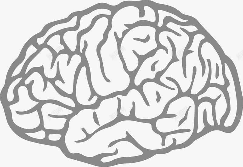 大脑png免抠素材_88icon https://88icon.com 人脑图 健康 医疗 大脑 脑浆 脑袋