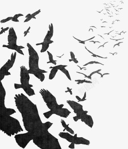乌鸦图案水彩乌鸦高清图片