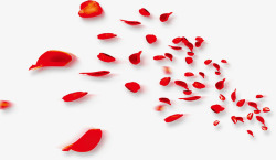 婚礼红花纱散落的花瓣高清图片