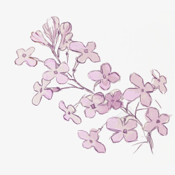 手绘紫色丁香花插画素材