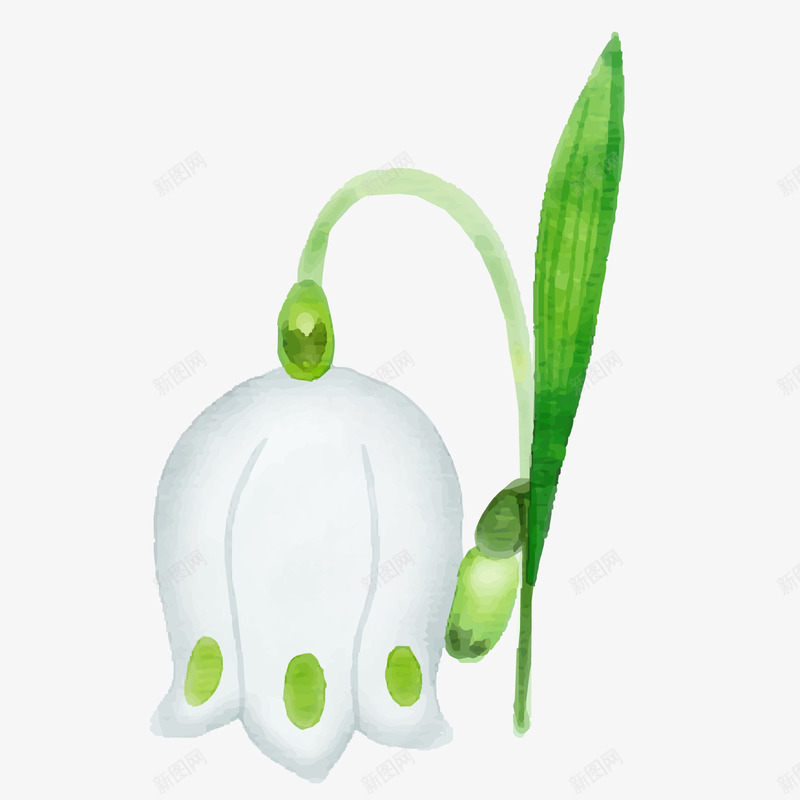 手绘白色铃兰植物png免抠素材_88icon https://88icon.com 卡通花卉 春季装饰 白色花朵 白色铃兰 背景装饰