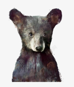 黑熊野生动物卡通可爱小熊高清图片