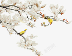 简约梅花卡通手绘白色的梅花高清图片