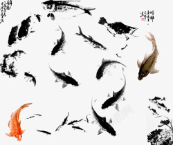 黑白锦鲤水墨水彩画高清图片