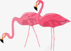 粉红色卡通火烈鸟矢量图素材