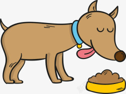 吃食吃狗粮的可爱小狗高清图片