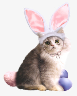 兔子时尚女郎兔女郎猫咪高清图片
