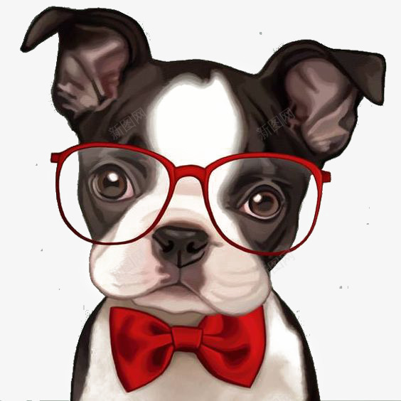 卡通斗牛犬png免抠素材_88icon https://88icon.com 卡通小狗 可爱小狗 宠物狗 手绘小狗 红框眼镜