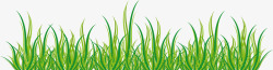 麦苗叶子绿化小麦苗矢量图高清图片