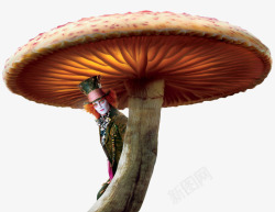 童话里的蘑菇素材