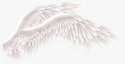 天使翅膀素材天猫淘宝男神节装饰翅膀高清图片