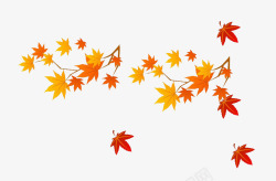 秋季树上红色树叶图片枫叶高清图片