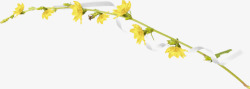 黄色树枝丝带素材