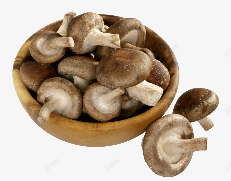 好看的蘑菇图png免抠素材_88icon https://88icon.com 木器 菌菇 蘑菇 香菇