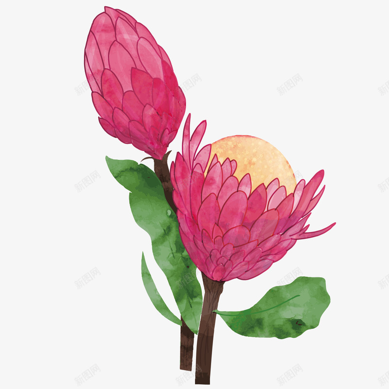 插画鲜花矢量图ai免抠素材_88icon https://88icon.com 彩绘 手绘 艺术绘画 花草 花蕊 矢量图