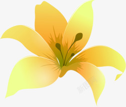 黄色卡通文艺花朵素材