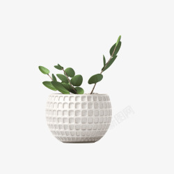 立体方格白色方格植物花盆高清图片