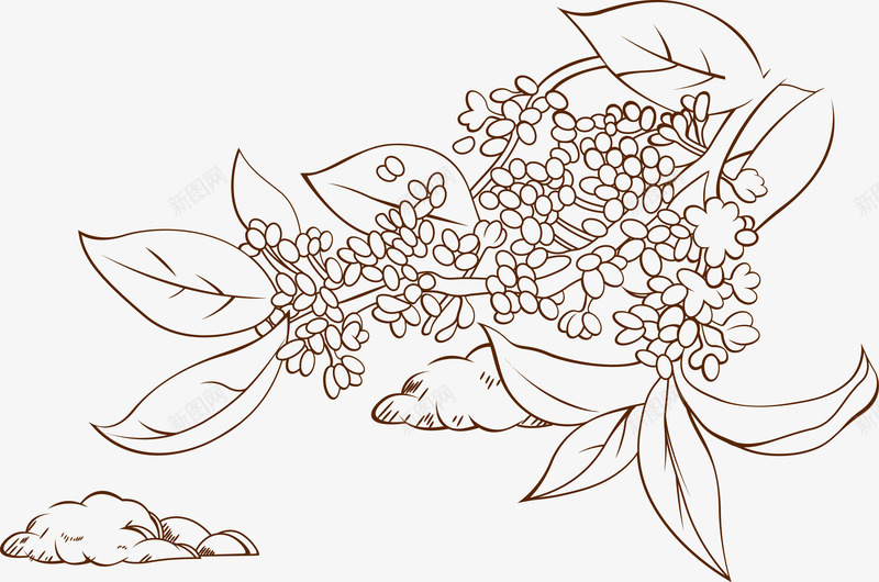 精致丹桂矢量图ai免抠素材_88icon https://88icon.com 丹桂 手绘 树叶 树木树叶 桂花 植物 精致 线描 细致 自然 花卉 花朵 金桂 金桂花 矢量图
