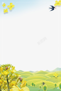 春季观赏油菜花装饰边框素材
