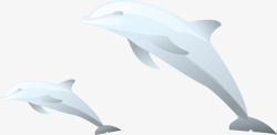 鲨鱼鲸鱼矢量图素材