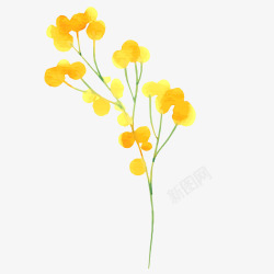 水彩手绘植物黄色花朵矢量图素材