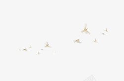 飞翔一群鸟白鸽小鸟一群鸟白色飞翔高清图片