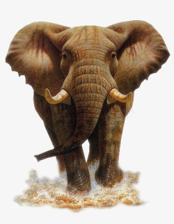 大象猛犸象素材