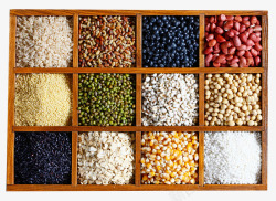 豆类元素彩色五谷杂粮高清图片