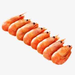 一排虾子素材