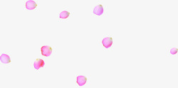 中秋节粉色花瓣海报素材