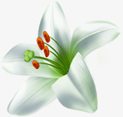 白绿色春季文艺小花素材
