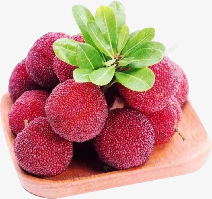 杨梅水果夏天png免抠素材_88icon https://88icon.com 夏天 新鲜 杨梅 水果