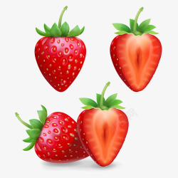 新鲜红草莓矢量图素材