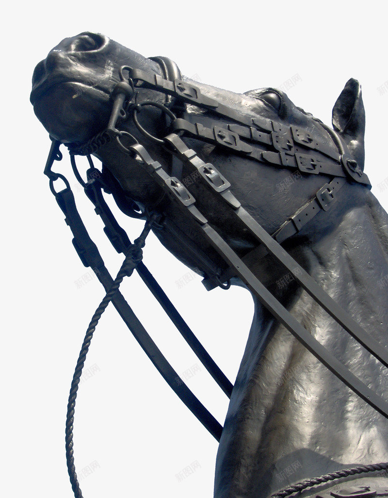 雕像骏马png免抠素材_88icon https://88icon.com 加拿大 渥太华 议会山 雕像 马