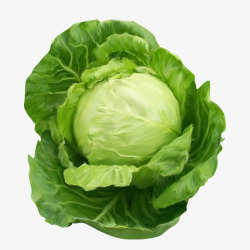 蔬菜绿圆白菜绿蔬菜装饰高清图片